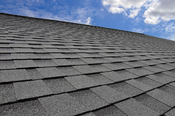 Best Roof Maintenance and Cleaning  in USA